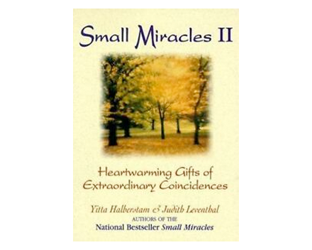 Small Miracles II